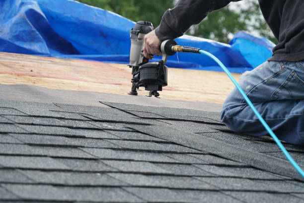 Best Roof Insulation Installation  in Paris, MO