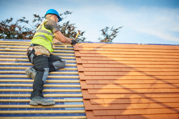 Best Gutter Installation and Repair  in Paris, MO